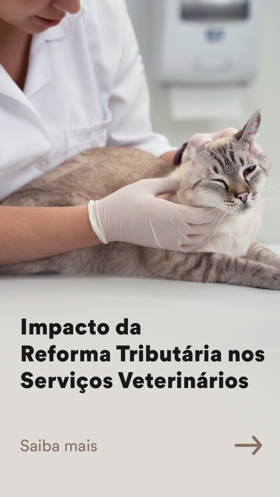 PLP68 – Reforma Tributária prevê aumento nos serviços veterinários